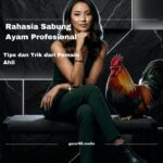 Rahasia Sabung Ayam Profesional